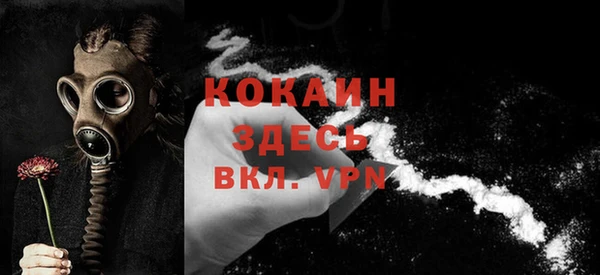 прущий лед Алзамай