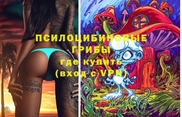 прущий лед Алзамай